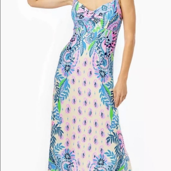 🦄 RARE Lilly Pulitzer Ambria Maxi Dress Macademia Haute Cature Engineered - Picture 2 of 8